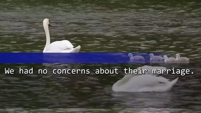 My husband suddenly demanded we care for his sister and niece or divorce. I agreed and reason is... смотреть онлайн