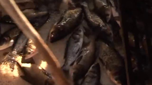 Солигорск. СТК. Зарыбление фонда запаса рыболовных угодий смотреть онлайн