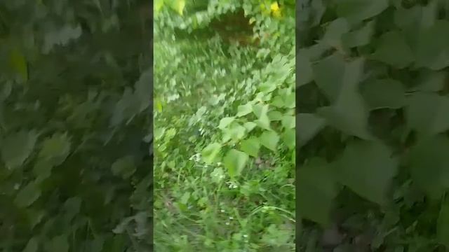 Домашний ужин для всей семьи 