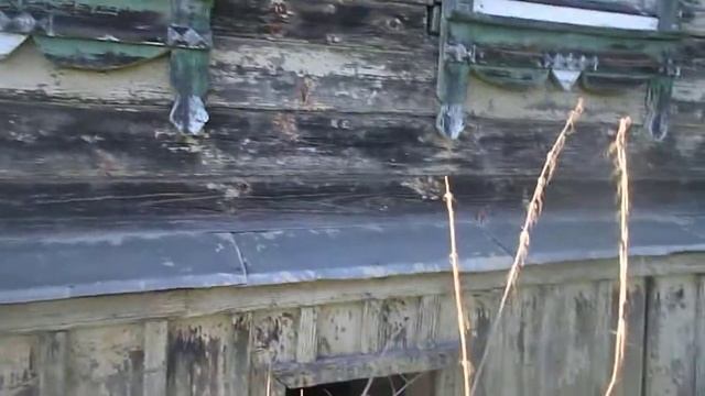 Дом с бобрами в деревне Берёзовец смотреть онлайн