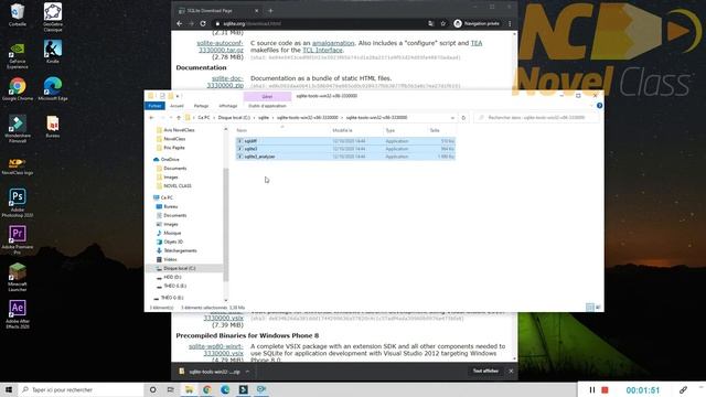 Installer SQLite et SQLite Browser - NSI Terminale смотреть онлайн