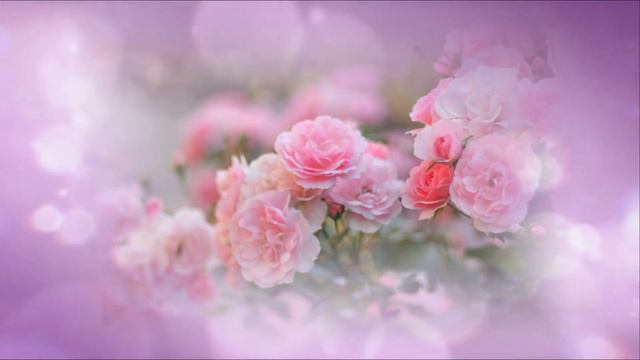 Róża - Świat Kwiatów i Muzyka - Chris Haugen"Spanish Rose" смотреть онлайн