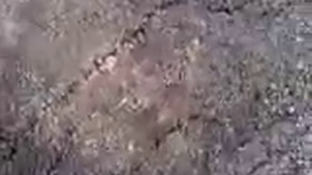 Щма новый!XD смотреть онлайн