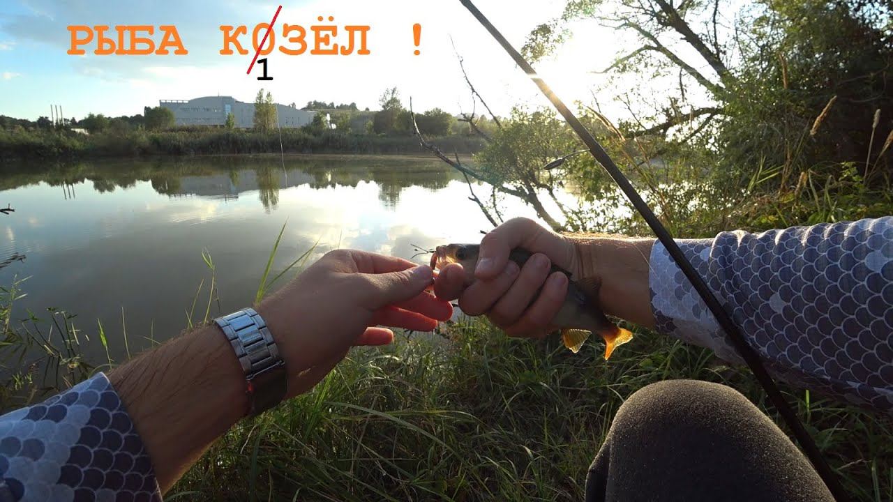 Микроджиг после работы. Спиннинг Poseidon Salty Sensation 73-Т смотреть онлайн