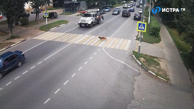 Istra Stories: Переходим правильно смотреть онлайн