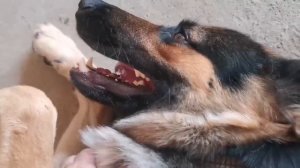 Влог:Купили Дом на Юге / Врать не умею/ Возвращаюсь домой, спустя 2 года / Родительский дом