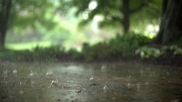 Шум дождя для сна смотреть онлайн