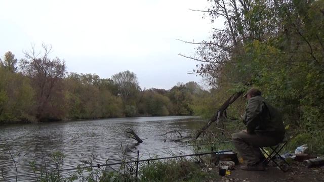 Фидер и поплавок на реке осенью ничья смотреть онлайн