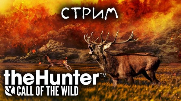 theHunter/исследуем новый заказник