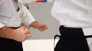 Видеокурс по физической подготовке в Дайто-рю Айкидзюдзюцу