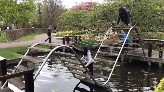 Keukenhof, The Garden Of Europe. Кёкенхоф, Нидерланды