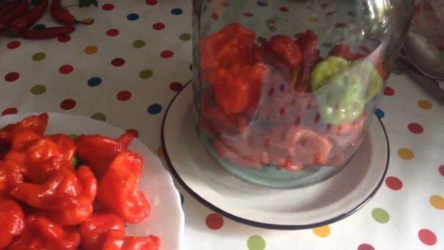 Как посолить горький перец на зиму смотреть онлайн