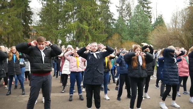 С днём рождения, РДШ! смотреть онлайн