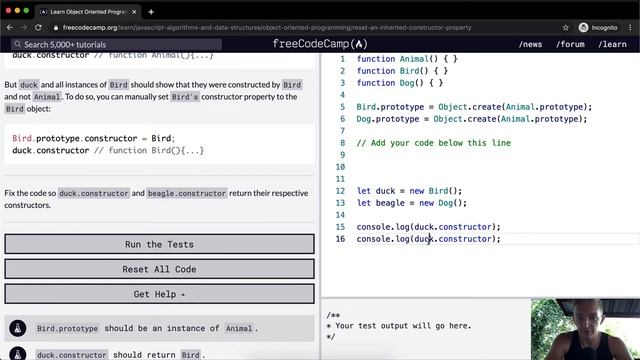 Reset an Inherited Constructor Property - Object Oriented Programming - Free Code Camp смотреть онлайн