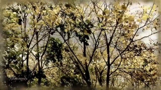 🌾~ Звенит высокая тоска ~🍁🍂 смотреть онлайн
