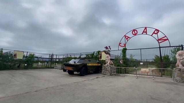 Мне показалось что львица  РОДИЛА...