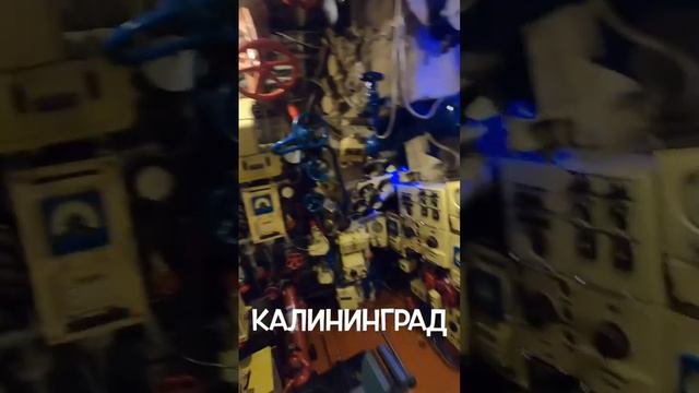 Калининград. Музей мирового океана. Подводная лодка. #kaliningrad #worldoceanmuseum #submarine смотреть онлайн