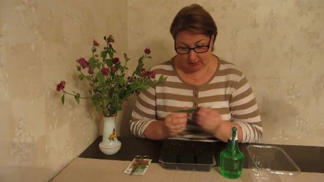 Хризантемы. Еще один способ сохранить и развести эти прекрасные цветы. смотреть онлайн