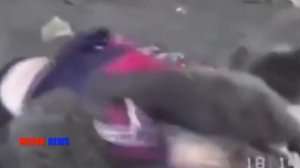 MUZON news. Хабиб Нурмагомедов. Khabib Nurmagomedov