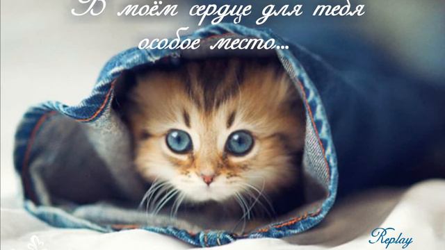 В моём сердце для тебя особое место смотреть онлайн