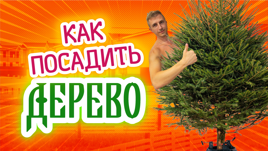 Как посадить дерево. Главное - руководство смотреть онлайн