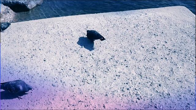 ?Озеро И Красивые Пейзажи Город Иркутск ?? 2021| Lake And Beautiful Scenery City Irkutsk ?? 2022 смотреть онлайн