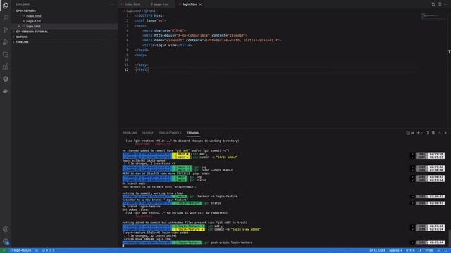 Git and Github for version control (part-11 git branches and tag) смотреть онлайн