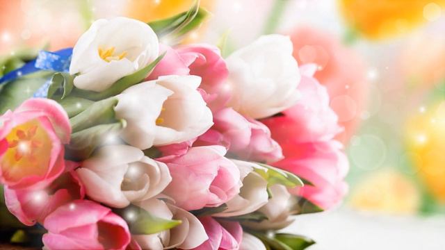 Video Background HD 1080 Футаж Тюльпаны смотреть онлайн