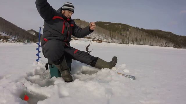 НАДУБАСИЛИ !! РЫБАЛКА В КРАСНОЯРСКЕ !! КВХ ШУМИХА смотреть онлайн