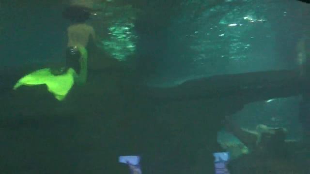 Океанариум. 4 часть. Сочи. Русалки)) смотреть онлайн