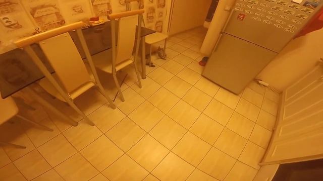 Мейн Кун Шэри играет с пакетом кофе ))) смотреть онлайн