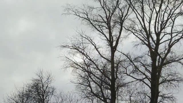 28.10.2019 Пришла зима смотреть онлайн