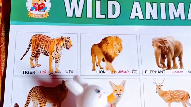 Domestic animals & Wild animals | Learn animals name смотреть онлайн