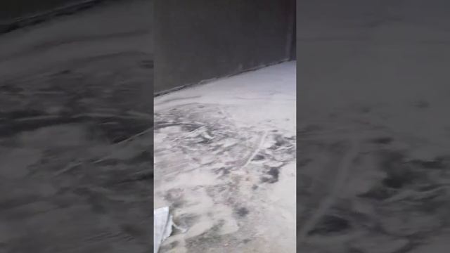 Ростов арена смотреть онлайн