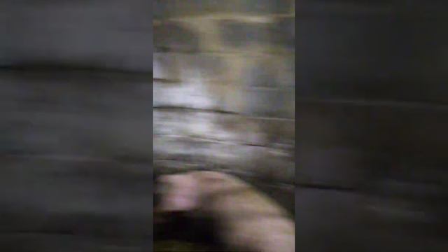 на улице жара, свиньи мало едят смотреть онлайн