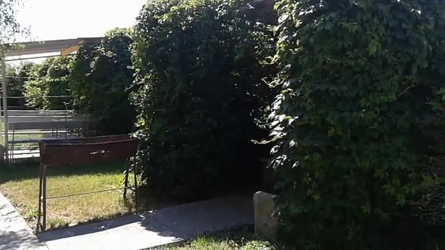 База Отдыха _Фрунзенец_ Июнь 2016 Г. смотреть онлайн