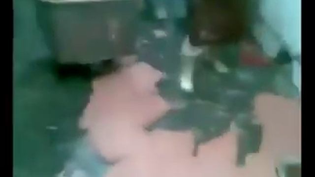 мясокомбинат Дубки г.Саратов Россия