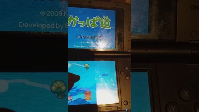 A Kappa's Trail/かっぱ道 (Nintendo DSiWare documentation) смотреть онлайн