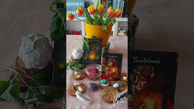 Cancer ♋ The Sacred Forest Oracle: Toadstools. It's about Growth. смотреть онлайн