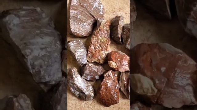 Rock Tumbling - Rhyolite from California and New Mexico #rocktumbling #rocks #thefinders #rockhoun смотреть онлайн