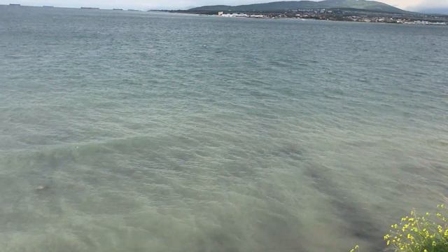 Геленджик. Толстый мыс. смотреть онлайн