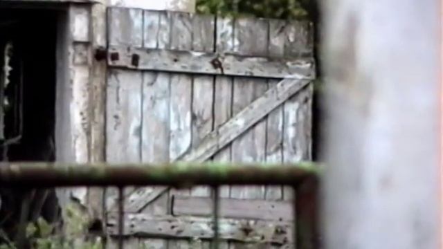 Panasonic M1000 смотреть онлайн