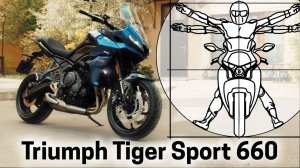 Triumph Tiger Sport 660: тест-драйв и обзор от Дениса Панфёрова