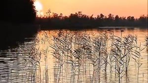 Рубское озеро, пансионат Чайка