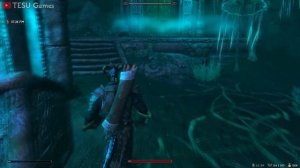 Что  Будет Если Собрать 30 Алых Корней Нирна? Skyrim