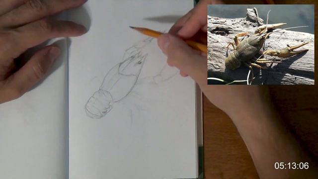 Арт-челлендж. Рисуем 10 мин в день. #2 - Рак смотреть онлайн