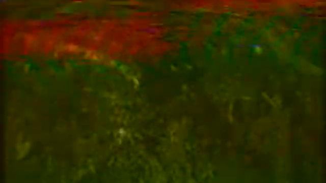 Транскодер пал-секам годует, но видик не очень. смотреть онлайн