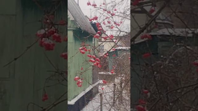 Калина зимой смотреть онлайн