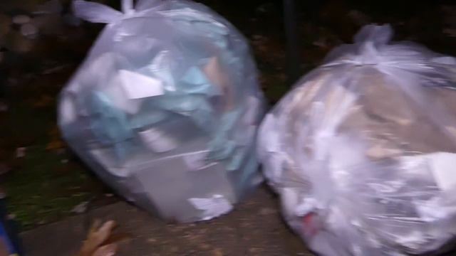 AMAZING! $1,000 Dollars Worth!! Dumpster Dive Night #597 смотреть онлайн