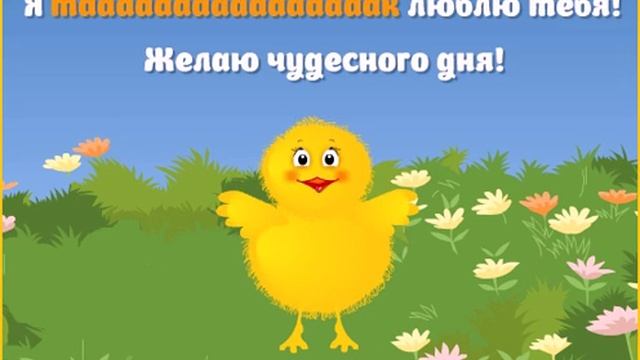 Я так люблю тебя! Чудесного дня! смотреть онлайн